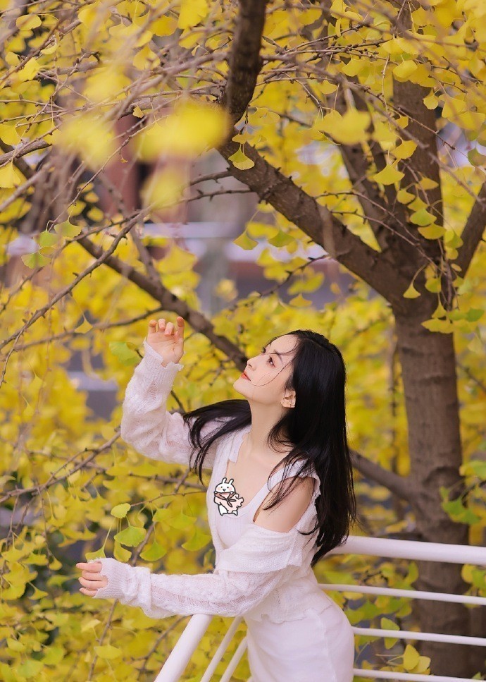 霸王别姬 封面