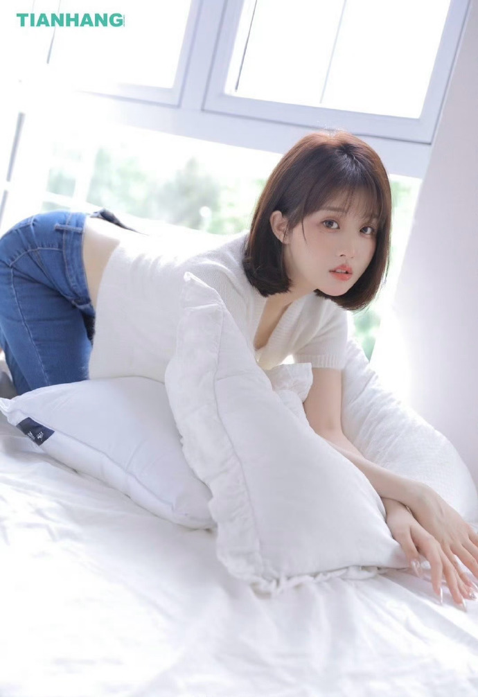 风骚律师